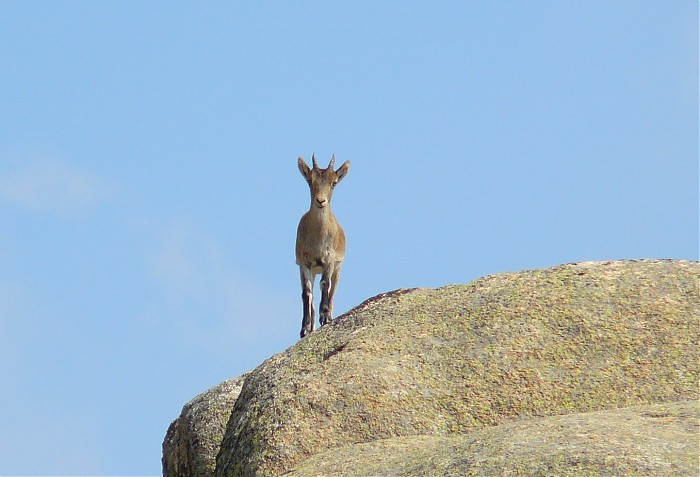 La Pedriza