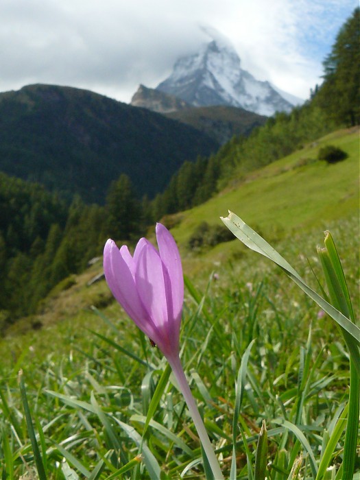 Matterhorn 