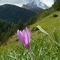 Matterhorn 